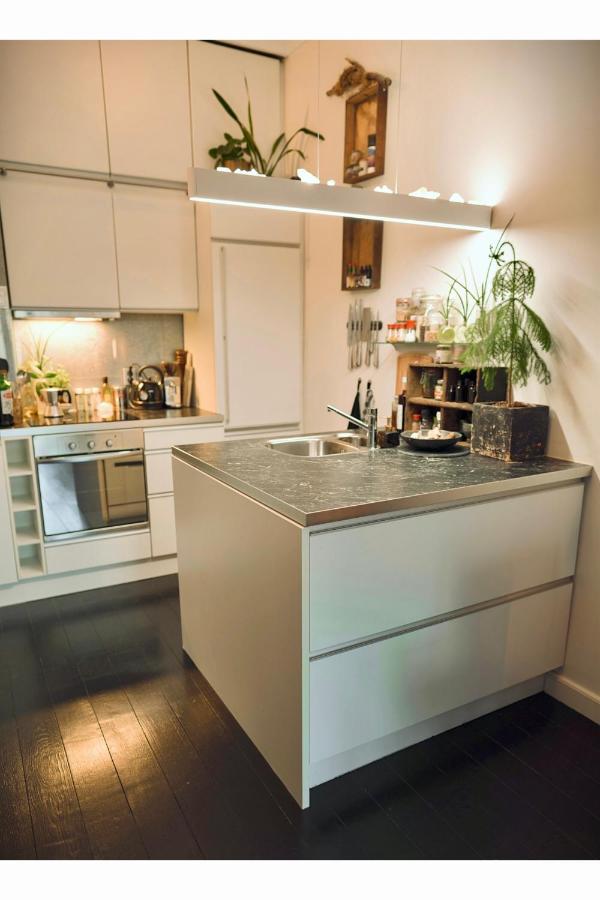 Lovely, 1898 Jugendstil Design Apartment, Old Haarlem City Centre, Fully Renovated With Parkview Near Amsterdam And Zandvoort, Bloemendaal Beach Extérieur photo
