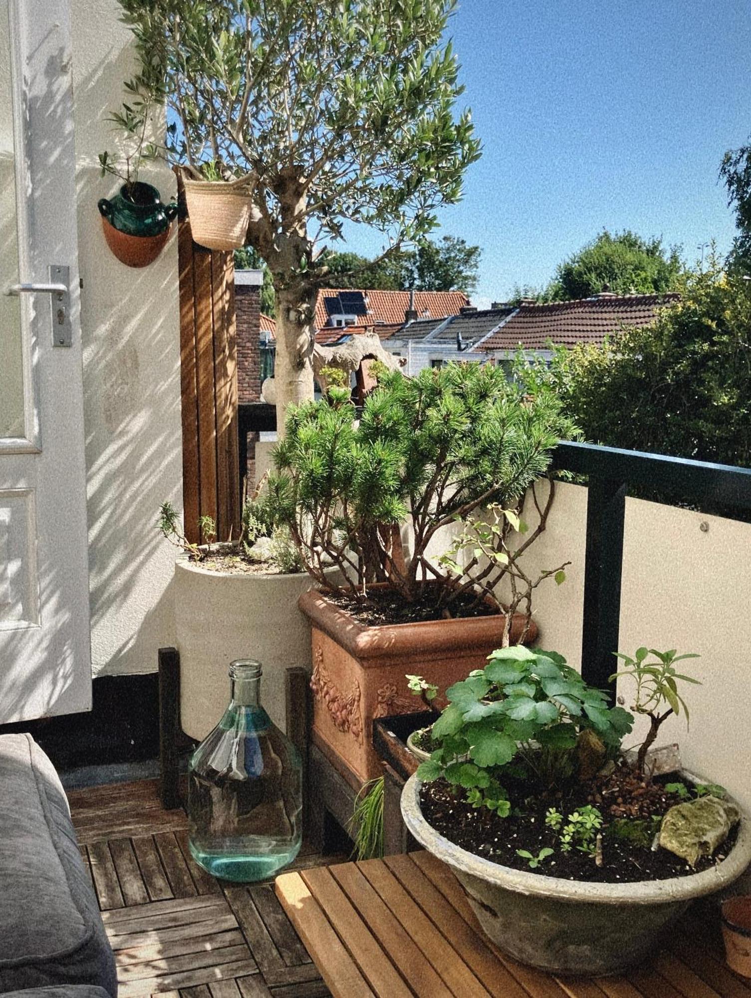 Lovely, 1898 Jugendstil Design Apartment, Old Haarlem City Centre, Fully Renovated With Parkview Near Amsterdam And Zandvoort, Bloemendaal Beach Extérieur photo